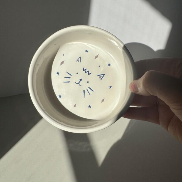 CAT BOWL
