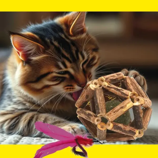 Silvervine Catnip Ball with Feather & Bell: Indoor Cat Chew Toy