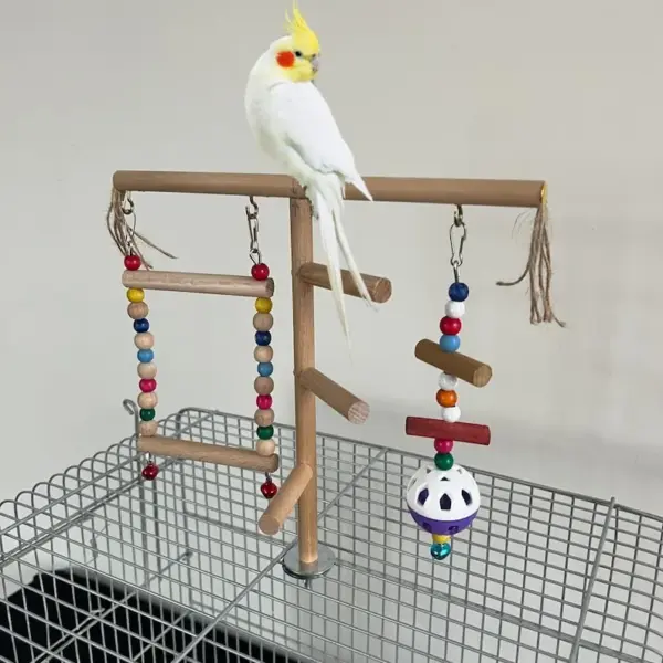 Cage Top Bird Play Stand: Handmade Natural Wood Parrot Perch