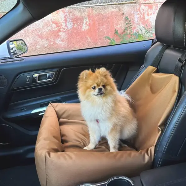 Cozy car seat for your pet, pet car seat