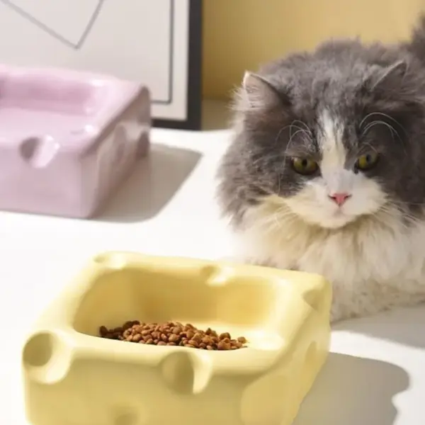 Handmade Cheese Ceramic Pet Bowl | Modern Cat & Dog Dish