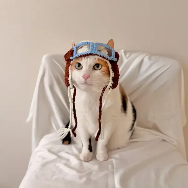Handmade Crochet Aviator Hat – Pet Pilot Costume