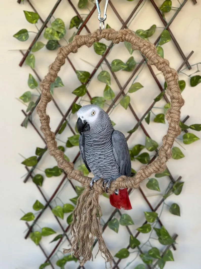 Large Parrot Swing | Durable Bird Rope Ring Play Perch - Image 2