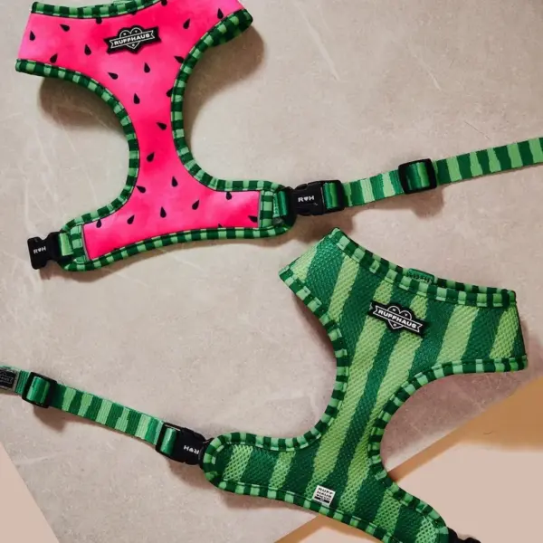 Watermelon Reversible Dog Harness