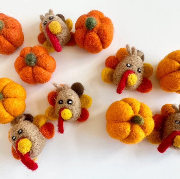 Felt Pumpkin and/or Turkey Toys - Needle Felted Fall Toy - Sold Individually Thanksgiving Montessori Play Cat Nip Playtime - Catnip Kicker
