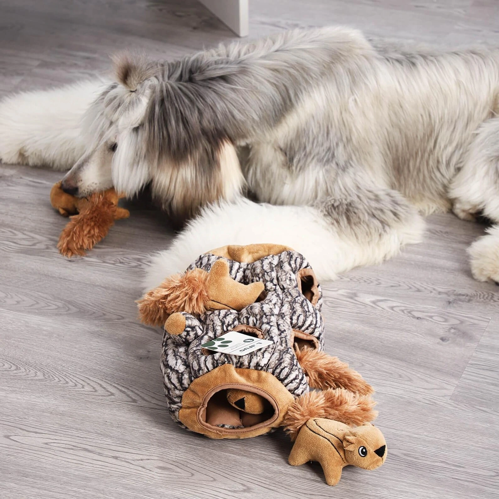Hidden Squirrel Plush Dog Toy - Image 2
